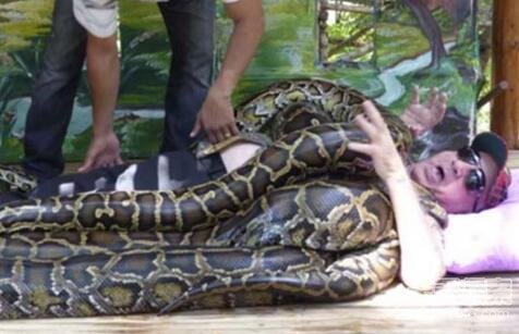 男子被4条巨蟒缠身﹕接下来一幕让人惊呆 _奇