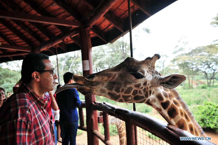 Tourists visit giraffe Center in Kenya KENYA-NAIROBI-CHIRISTMAS-GIRAFFE CENTER