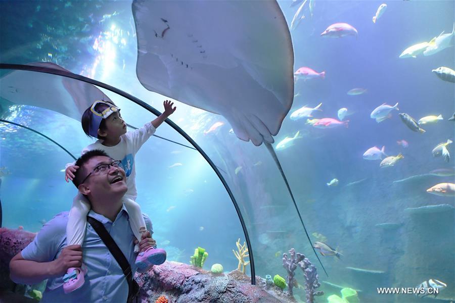 Sea Life aquarium center opens in SW China CHINA-CHONGQING-AQUARIUM CENTER (CN)