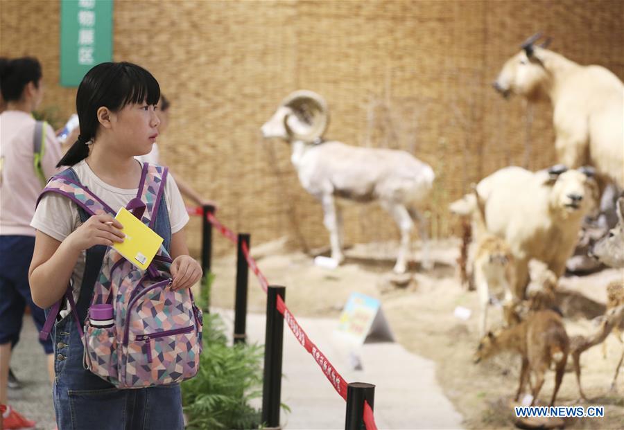 Kids learn knowledge at Hebei Museum during summer vacation #CHINA-HEBEI-SUMMER VACATION
