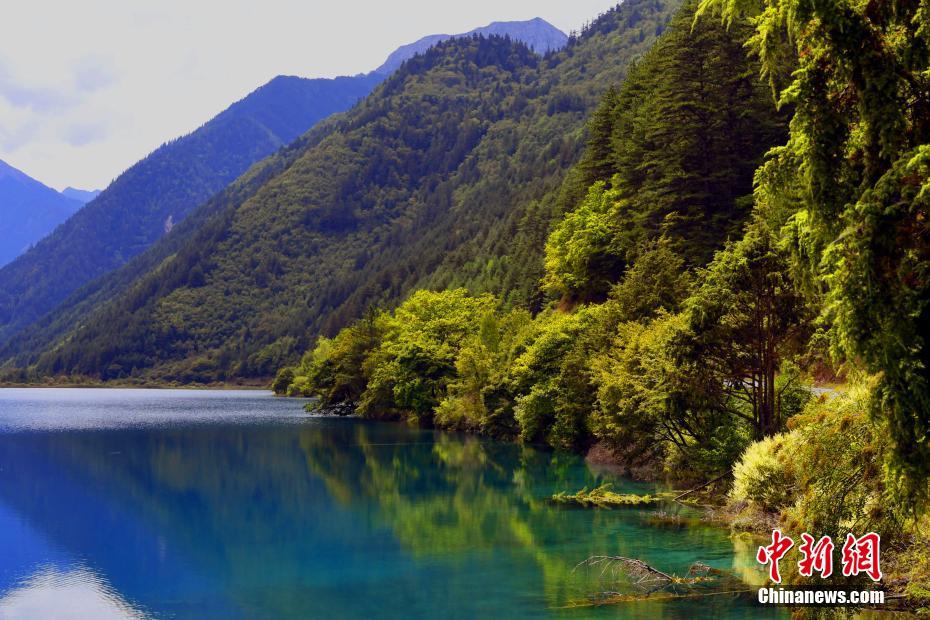 Beautiful scenery of Jiuzhaigou after the earthquake Beautiful scenery of Jiuzhaigou after the earthquake