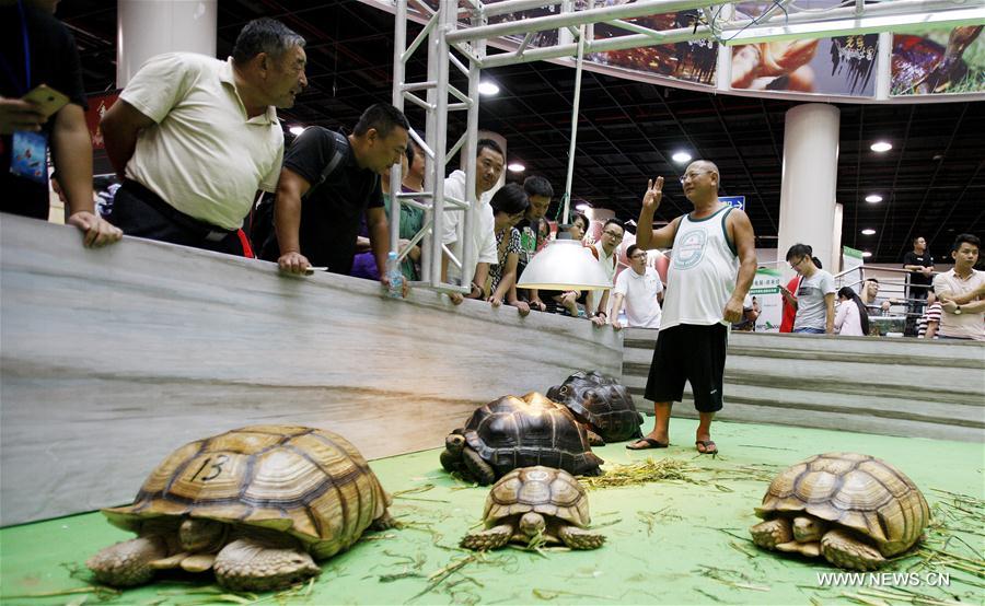12th Shanghai Int'l Ornamental Fish Exhibition opens CHINA-SHANGHAI-ORNAMENTAL FISH EXHIBITION-PETS (CN)