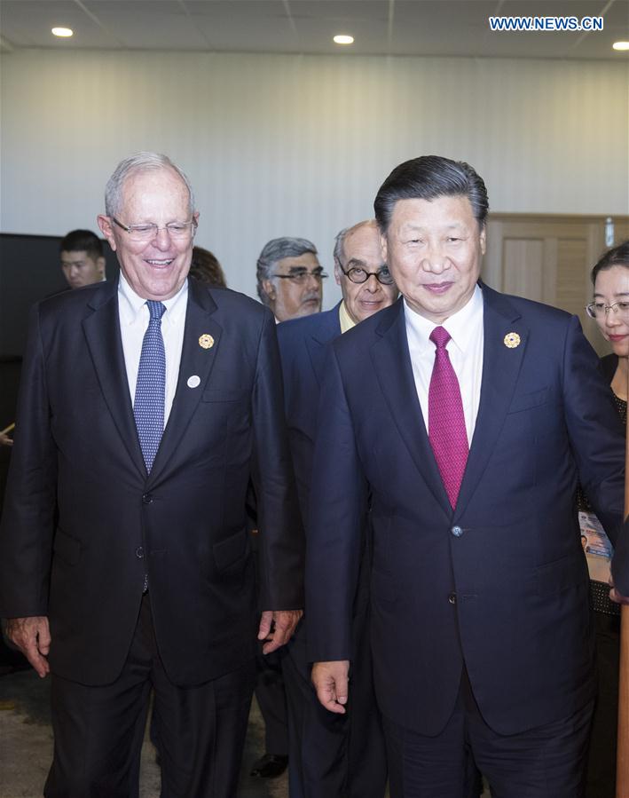 Xi meets with Peruvian counterpart on sideline of APEC CEO Summit VIETNAM-DA NANG-CHINA-XI JINPING-PERUVIAN PRESIDENT-MEETING