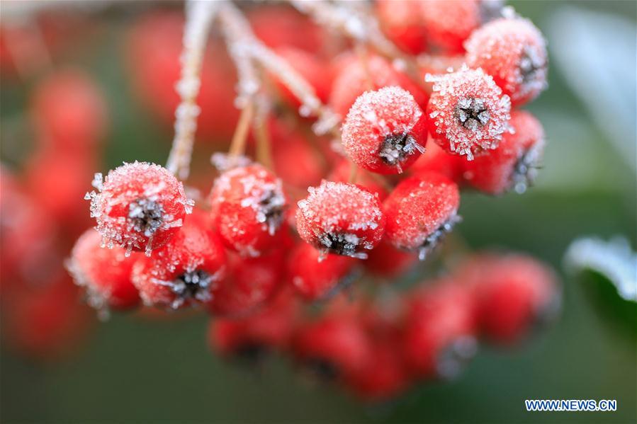 Daxue: the 21st of 24 solar terms