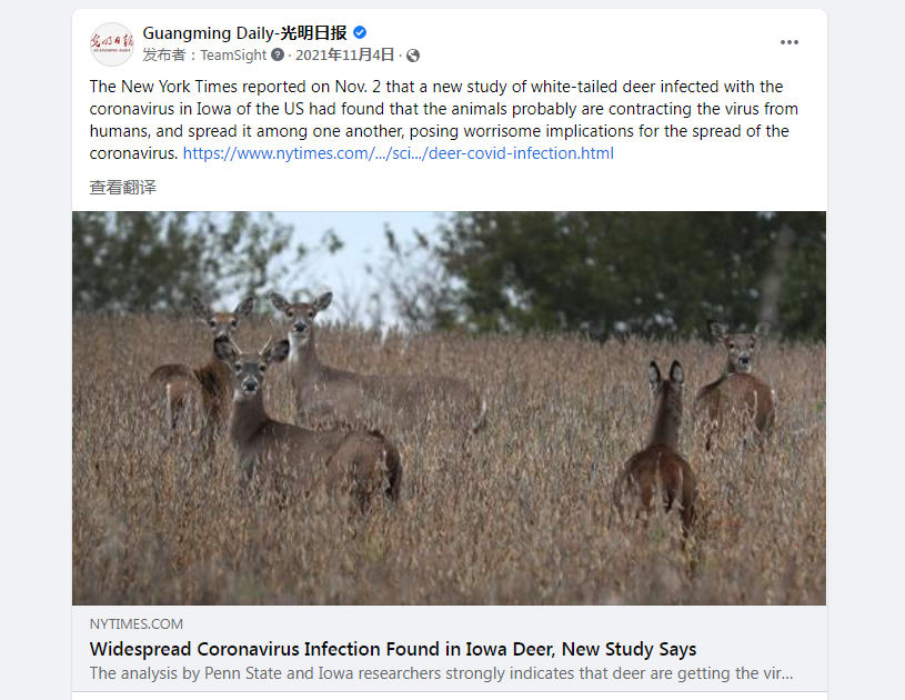 Widespread coronavirus infection found in Iowa deer