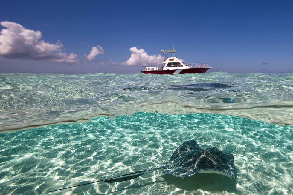 摄影师实拍大开曼岛海域 海水晶莹剔透如水晶