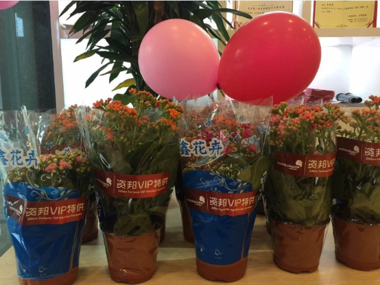 资邦普惠锦和路社区店盛大开业