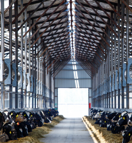 蒙牛以国际标准链成中国好牛奶