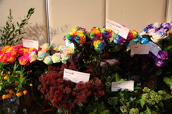 荷兰皇家鲜花拥抱花集网 跨越7000公里相约西