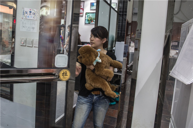 实拍日本美女宠物美容师的一天(15)