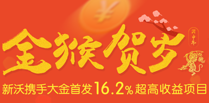 年化收益率16.2% 新沃金融助你抵御金融寒潮