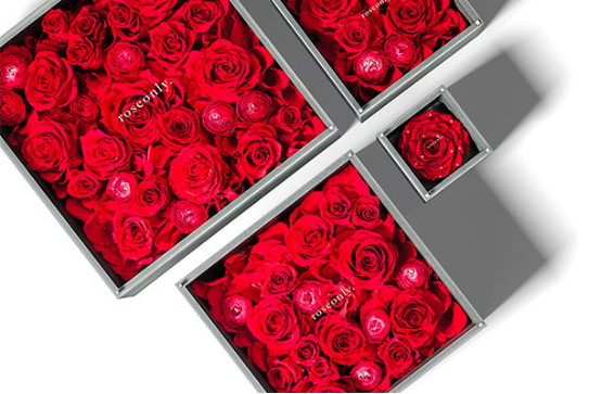 roseonly 完成C轮融资﹐专注打造世界级奢侈品