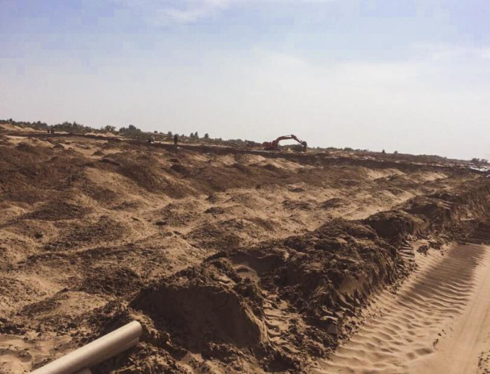 华夏耕德:推出大漠鲜米立足本地资源带动农民