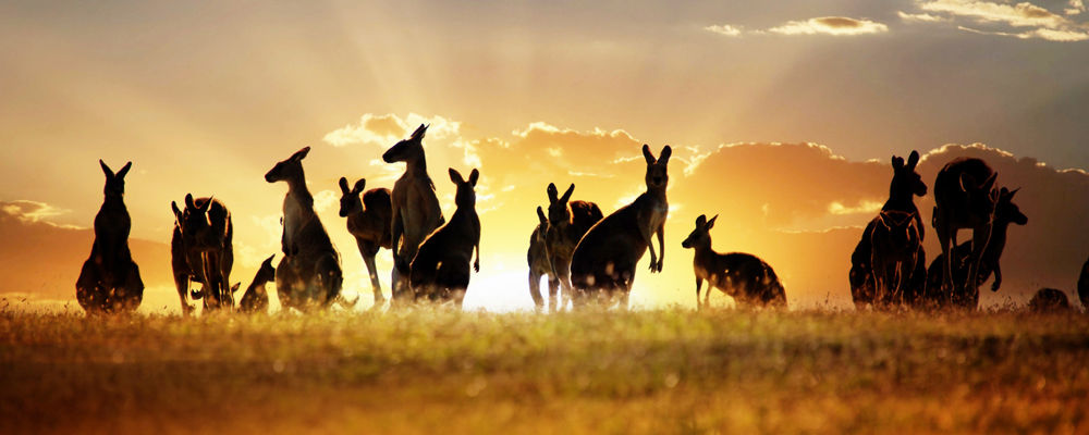 移民大国的较量﹕澳大利亚VS加拿大