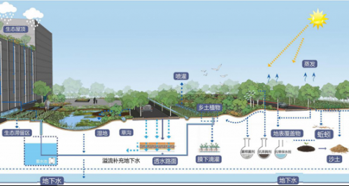 蒙草海绵城市节水园林生态景观建设模型