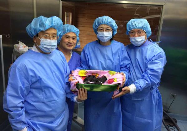 中国首例纯种克隆藏獒在博雅干细胞集团诞生