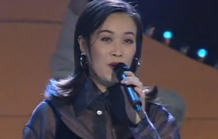 那英-雾里看花(鸿翔音像)【原唱】【伴奏】【双