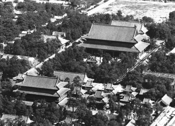 图片版权归原作者所有