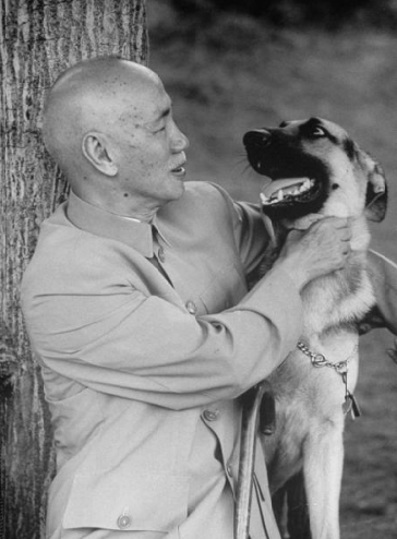 【new】晚上只吃一根香蕉|香蕉一天最多吃几根