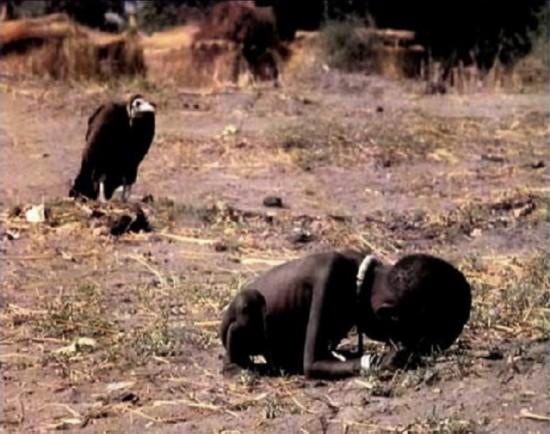 悲惨至极!这个你所不知道的世界(1)