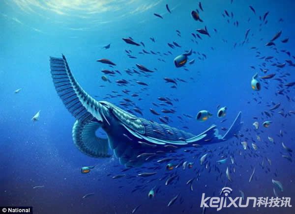 格陵兰岛发现5.2亿年前巨型海洋生物化石(1)