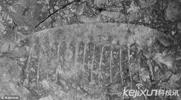 格陵兰岛发现5.2亿年前巨型海洋生物化石(2)