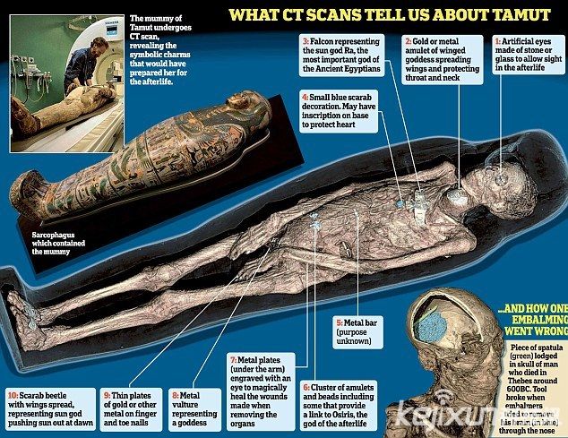 3000年埃及木乃伊神庙女歌手电脑扫描奥秘(1