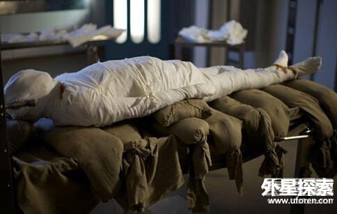 图片版权归原作者所有 图片版权归原作者所有