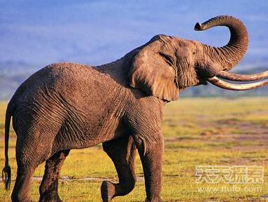 古代女子奇葩避孕方法:喝水银吸鸦片堪比酷刑