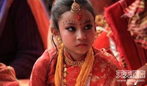 食人族奇葩习俗﹕五头猪换老婆(17)