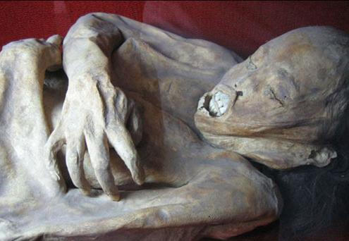 300年前女乾尸神秘复活 棺木里满是抓痕(3)_古今中国 _光明网