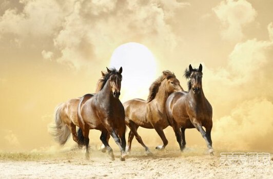 骇人!揭古代鉴别处女的14种机密方法