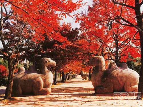 朱元璋皇陵:明孝陵千古未解之谜大起底(1)