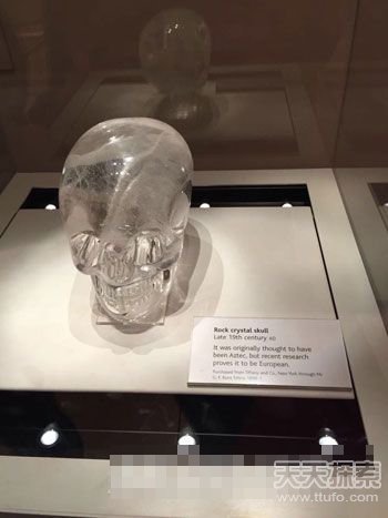 谜团:传说中的玛雅水晶头骨是真是假?(2)