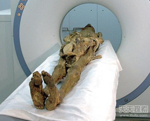 史上最恐怖木乃伊:竟张开嘴尖叫(3)