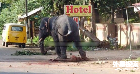 外国古代人惊人酷刑:动物咬死女囚犯(4)