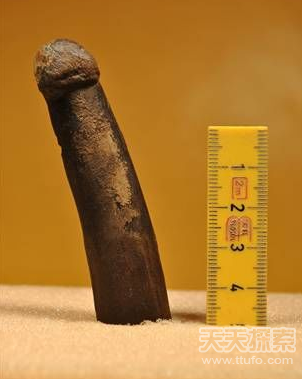 史前人也疯狂 2.8万年前竟有石制阳具(1)