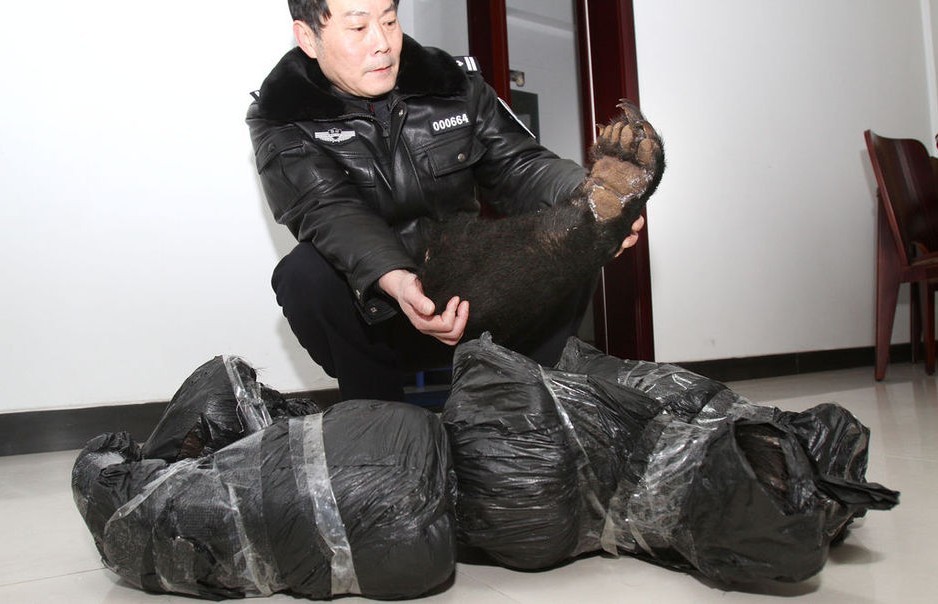 重庆江北机场查获10个黑熊熊掌每个重量超5斤