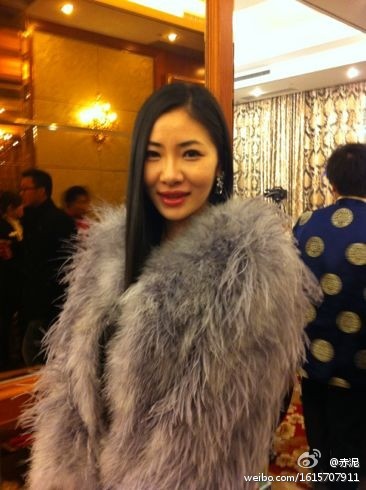 浙江 台州一姐 陈明月被批捕 认定系肇事逃逸