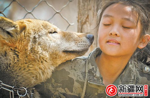 在仓房沟村五队的驯犬基地，朱琳和“狼兄”玩耍