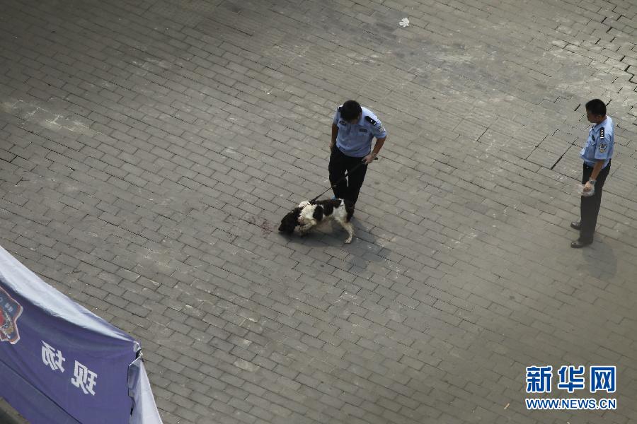 重庆发生持枪抢劫案致一死两伤 警方正全力追