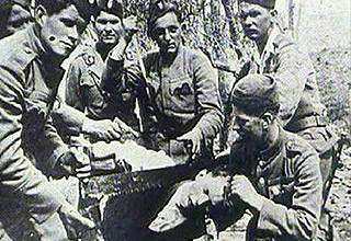 <em>宝马女</em>撞人迁怒路人 招6名<em>纹身</em>男殴打围观村