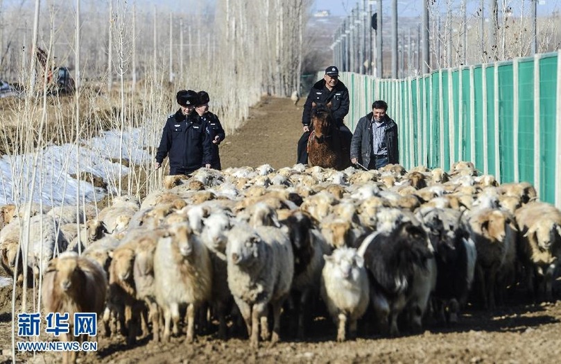 新疆:铁轨旁的警察羊倌【高清】(1)