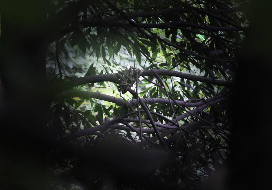 男子长沙街头杀妻 深山上吊自杀(高清组图)(1)