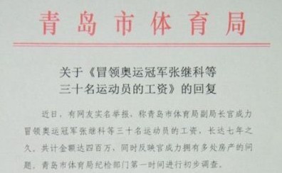 收入证明_奥运冠军收入