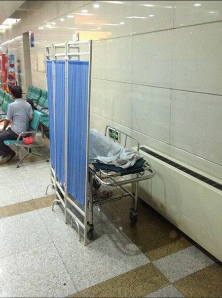 大连6岁女孩被藏獒咬断脖子气管身亡(图)(1)