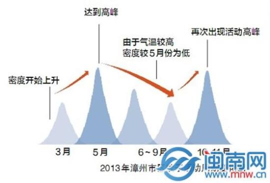 蚊子调查报告:最爱叮化妆、穿深色衣服等5类人