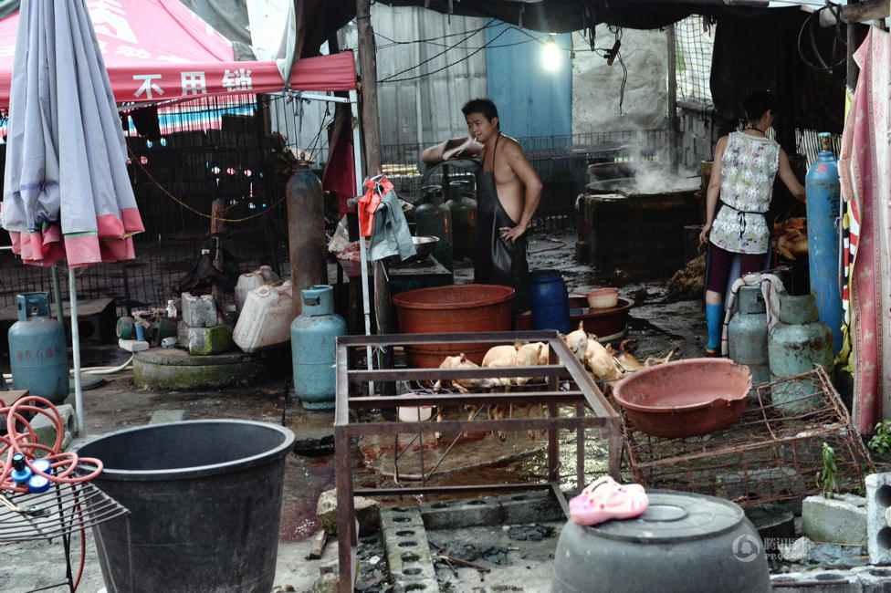 探访广西玉林狗肉屠宰场 动保人士与肉贩对峙