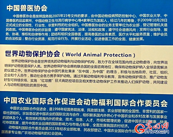 世界动物保护协会在中国务实科普动物福利概念