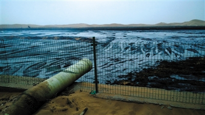 腾格里沙漠遭工业污染:黑色管道直接插入沙中